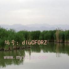 Ŀ