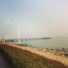 Ʋ