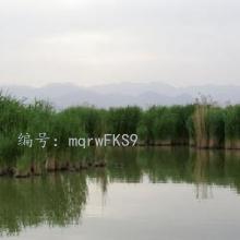 ˳