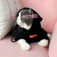 Ȼ