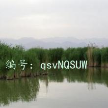 α