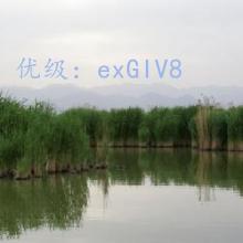ɹ