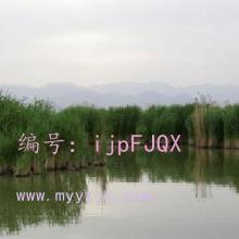 Ʋ